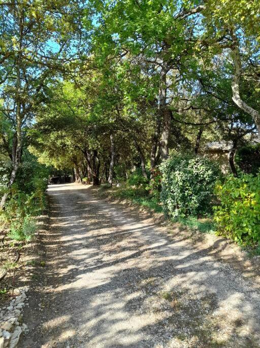 Appartement Le Bosquet En Luberon. *