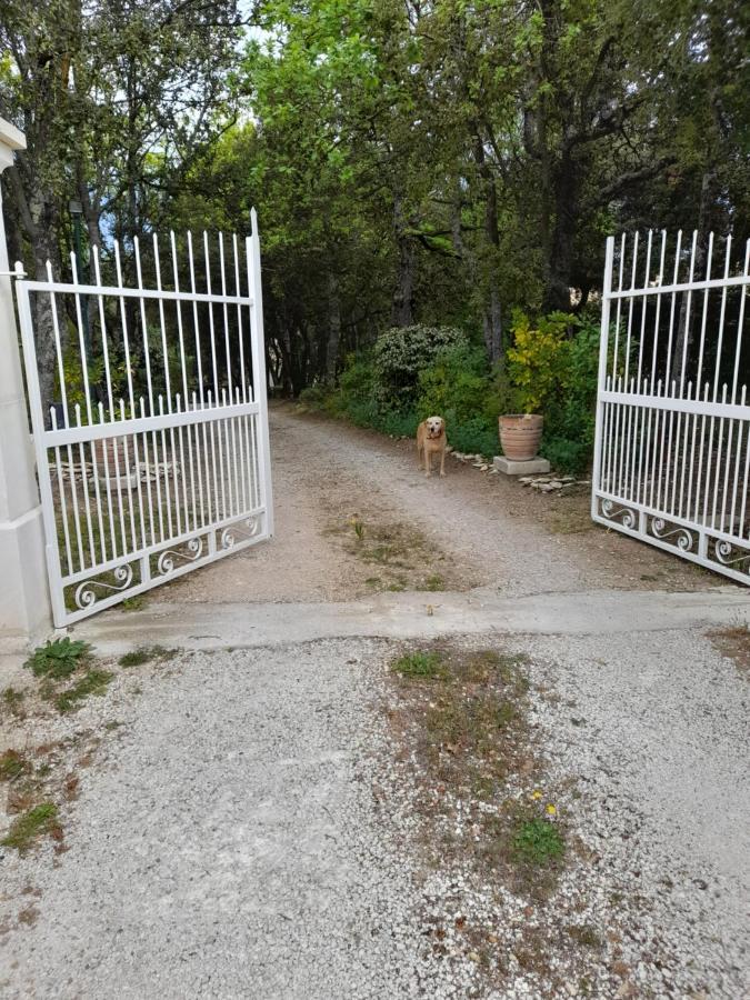 Le Bosquet En Luberon. *